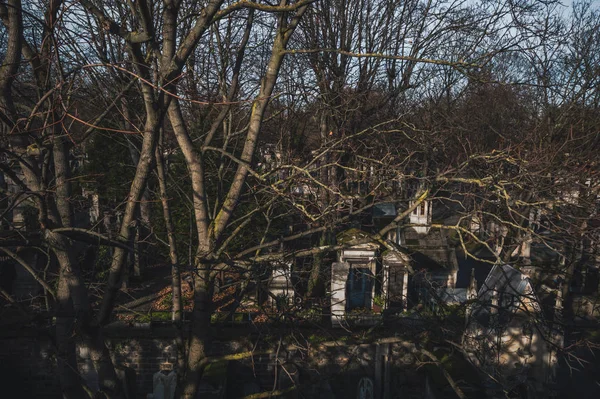 Gün doğumunda Paris 'in güzel manzarası