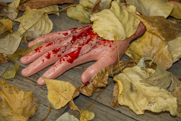 halloween decorations. Hand in blood in leaves