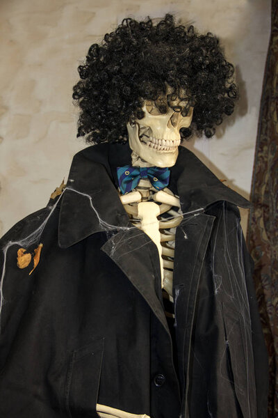 скелет в пальто и парике. Хэллоуин
