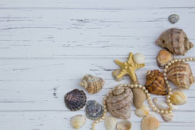 Deniz dekoru. açık ahşap zemin üzerinde deniz yıldızları incileri
