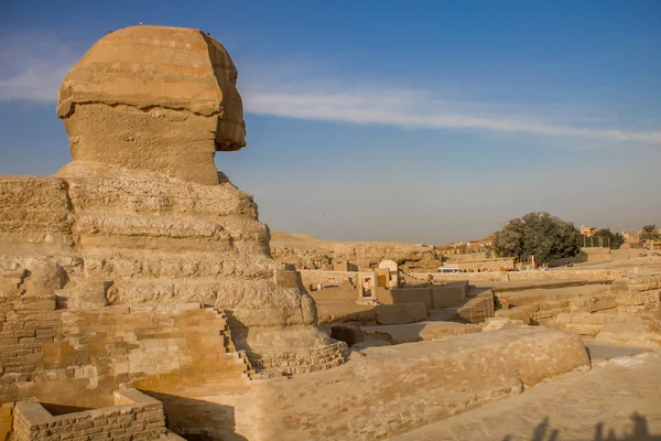 Sfinge Egiziana Giza Contro Cielo — Foto Stock