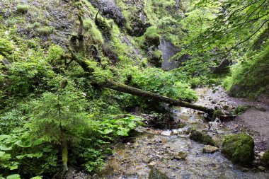 Küçük Fatra, Slovakya'da güzel dağlar
