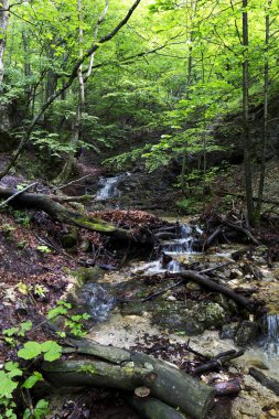 Küçük Fatra, Slovakya'da güzel dağlar