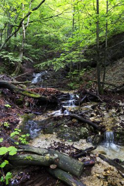 Küçük Fatra, Slovakya'da güzel dağlar