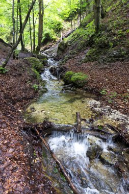 Küçük Fatra, Slovakya'da güzel dağlar