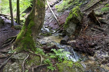 Küçük Fatra, Slovakya'da güzel dağlar