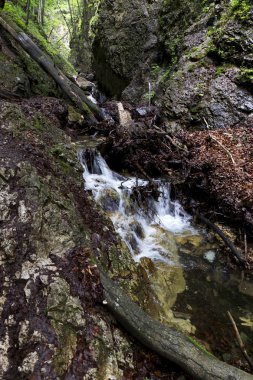 Küçük Fatra, Slovakya'da güzel dağlar