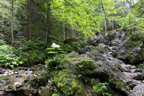 Little Fatra, las hermosas montañas de Eslovaquia — Foto de Stock