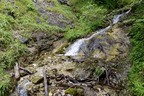 Küçük Fatra, Slovakya'da güzel dağlar