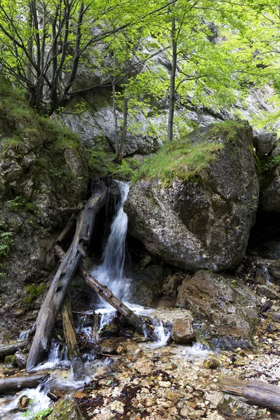 Lilla Fatra, de vackra bergen i Slovakien — Stockfoto