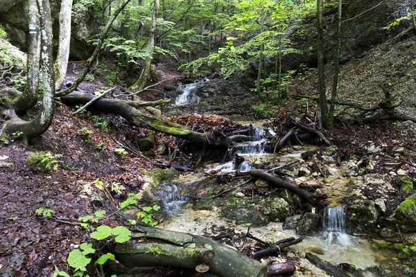 Küçük Fatra, Slovakya'da güzel dağlar