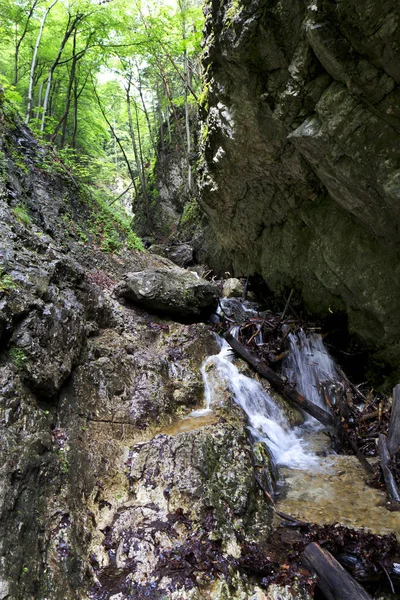 Lilla Fatra, de vackra bergen i Slovakien — Stockfoto