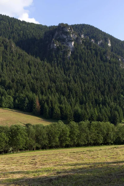 少し Fatra、スロバキアの山々 — ストック写真