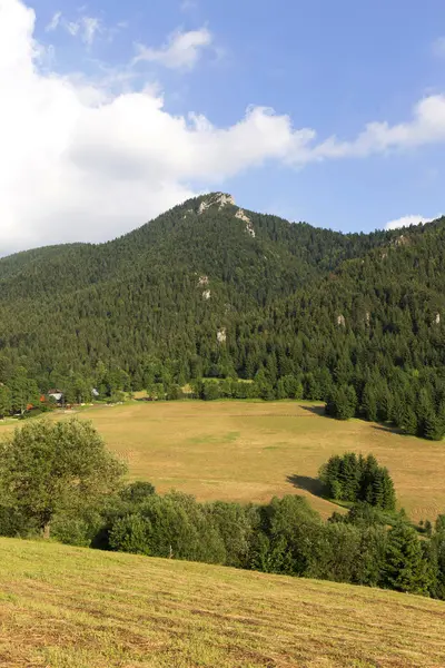 Little Fatra, the beautiful Mountains  in Slovakia — Stock Photo, Image