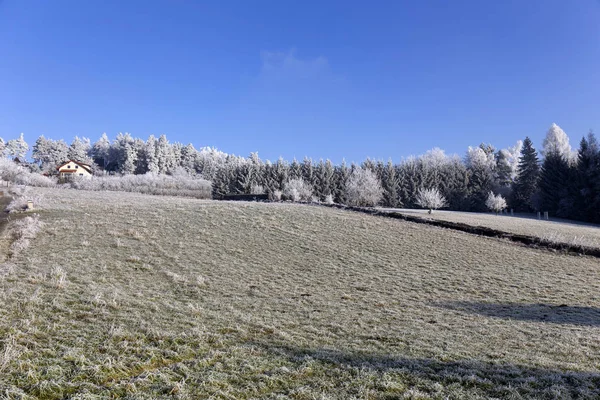 Lindo conto de fadas campo de inverno nevado com céu azul na Boêmia Central, República Checa — Fotografia de Stock