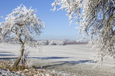 Güzel peri masalı karlı kış kırsal mavi gökyüzünde Merkezi Bohemia, Çek Cumhuriyeti ile