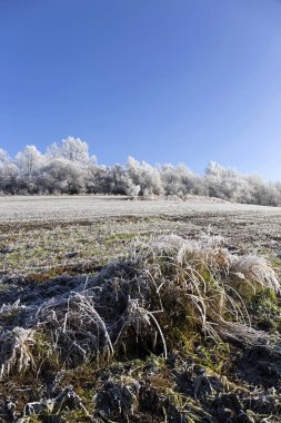 Güzel peri masalı karlı kış kırsal mavi gökyüzünde Merkezi Bohemia, Çek Cumhuriyeti ile