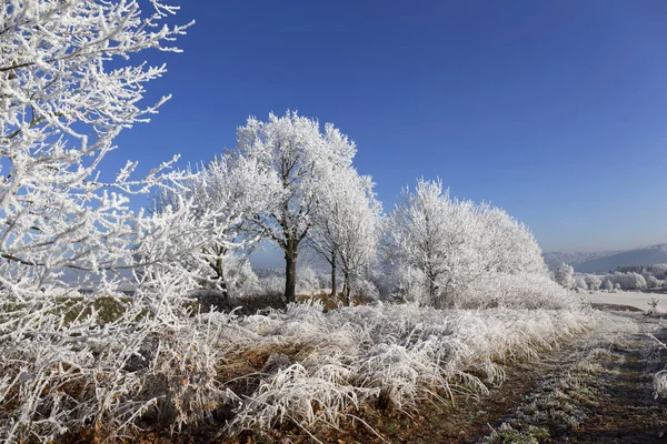 Beautiful fairytale snowy winter countryside with blue Sky in Central Bohemia, Czech Republic — Stock Photo, Image