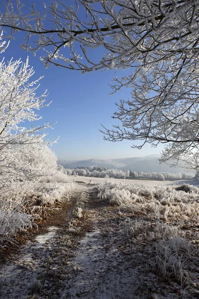 Smukke eventyr sneklædte vinterlandskab med blå himmel i Central Bohemia, Tjekkiet - Stock-foto