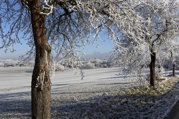 Сказочная заснеженная зимняя деревня с голубым небом в Центральной Чехии — стоковое фото