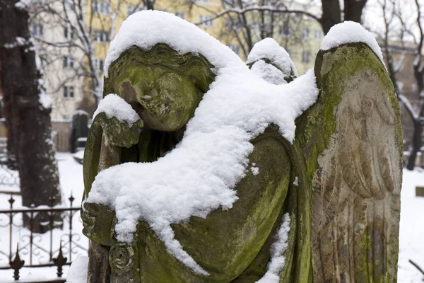 Zimní zasněžené tajemství staré Prahy hřbitov Olšany s jeho sochy, Česká republika — Stock fotografie