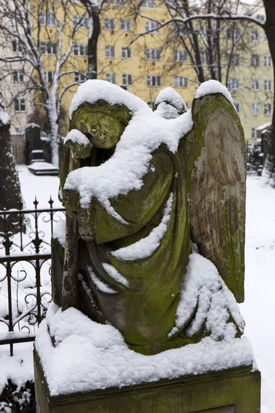 Winter van de besneeuwde mysterie oude Praag begraafplaats Olsany met zijn standbeelden, Tsjechië — Stockfoto