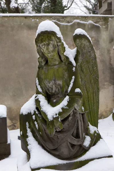 Winter verschneites Geheimnis alter Prager Friedhof olsany mit seinen Statuen, Tschechische Republik — Stockfoto