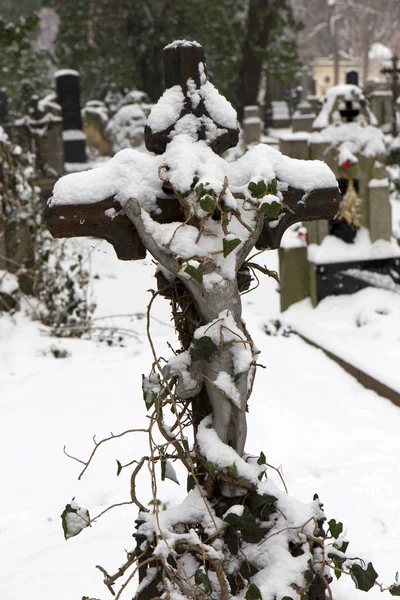 冬の雪に覆われた謎の彫像、チェコ共和国と旧プラハ墓地 Olsany — ストック写真