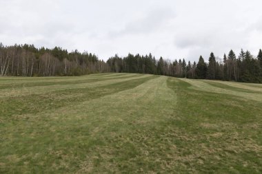 Güzel Wilderness, Güney çek dağlar Sumava bahar