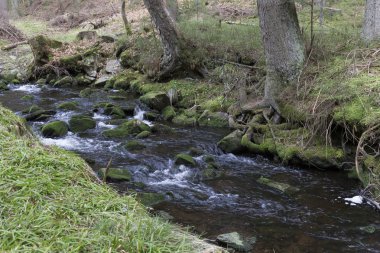 Güzel Wilderness, Güney çek dağlar Sumava bahar