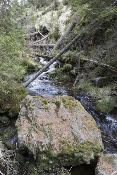 Krásné divočiny, na jaře hory Šumava v jižních Čech — Stock fotografie