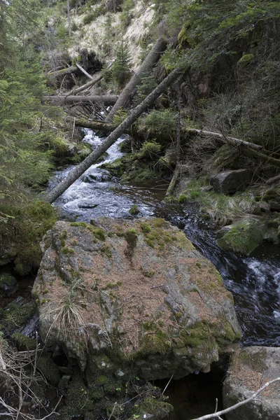 Hermosa naturaleza, las montañas de primavera Sumava en el sur de la República Checa — Foto de Stock