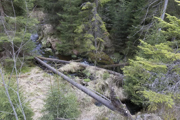 Belle nature sauvage, les montagnes du printemps Sumava dans le sud de la République tchèque — Photo