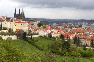 Doğa ve çiçekli ağaçlar, Çek Cumhuriyeti Prag şehir bahar yeşil ile görüntüleyin