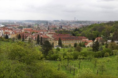Doğa ve çiçekli ağaçlar, Çek Cumhuriyeti Prag şehir bahar yeşil ile görüntüleyin