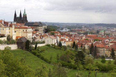 Doğa ve çiçekli ağaçlar, Çek Cumhuriyeti Prag şehir bahar yeşil ile görüntüleyin