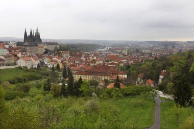 Doğa ve çiçekli ağaçlar, Çek Cumhuriyeti Prag şehir bahar yeşil ile görüntüleyin