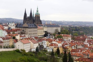 Doğa ve çiçekli ağaçlar, Çek Cumhuriyeti Prag şehir bahar yeşil ile görüntüleyin