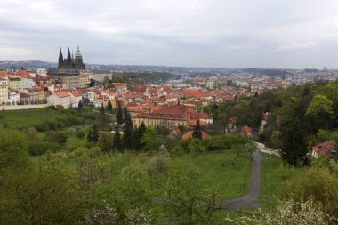 Doğa ve çiçekli ağaçlar, Çek Cumhuriyeti Prag şehir bahar yeşil ile görüntüleyin