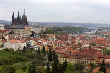 Doğa ve çiçekli ağaçlar, Çek Cumhuriyeti Prag şehir bahar yeşil ile görüntüleyin