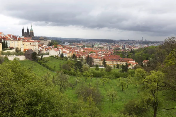 Visa på våren Prague City med gröna naturen och blommande träd, Tjeckien — Stockfoto