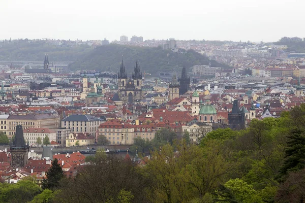 Blick auf den Frühling Prag Stadt mit der grünen Natur und blühenden Bäumen, Tschechische Republik — Stockfoto