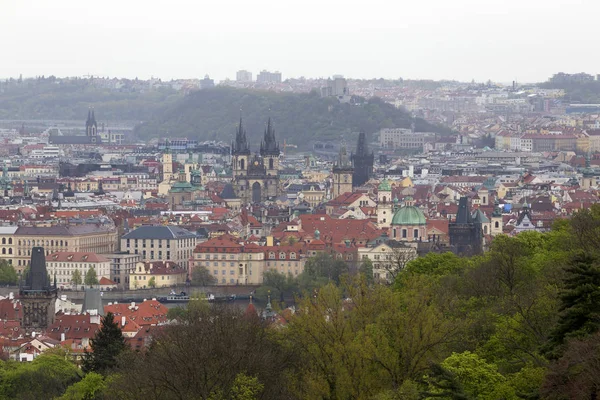 Vue sur le printemps Prague City avec la nature verte et les arbres à fleurs, République tchèque — Photo