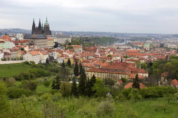 Zobrazit na jaře Prague City s zelené přírody a kvetoucích stromů, Česká republika — Stock fotografie