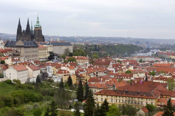 View on the spring Prague City with the green Nature and flowering Trees, Czech Republic — Stock Photo, Image