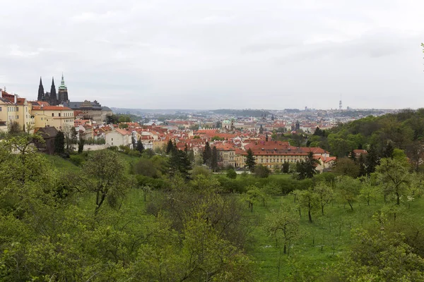 Nézd a Prague City tavasszal a zöld természet és virágzó fák, Cseh Köztársaság — Stock Fotó