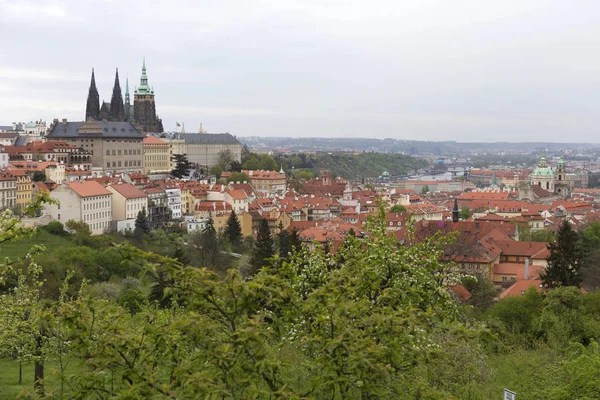 Zobacz na wiosnę Praga z zielonym, natura i kwitnących drzew, Republika Czeska — Zdjęcie stockowe