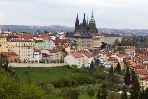 View on the spring Prague City with the green Nature and flowering Trees, Czech Republic — Stock Photo, Image