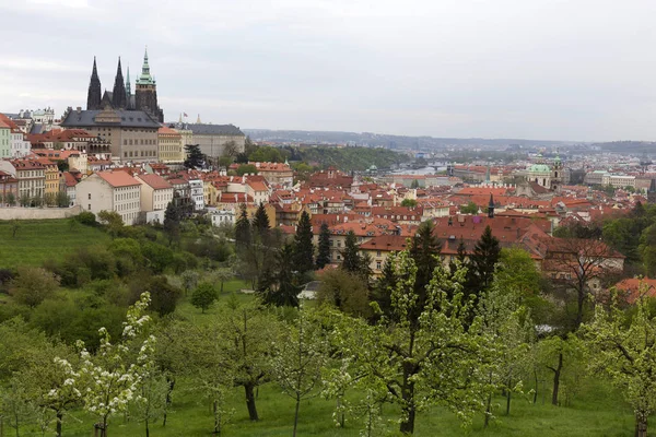 Vista sobre a primavera Praga Cidade com o verde Natureza e árvores floridas, República Checa — Fotografia de Stock