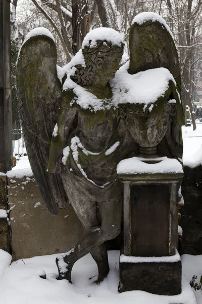 雪に覆われた Statuel から冬謎古い墓地プラハ、チェコ — ストック写真